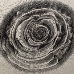 I am filled with overwhelming empathy and gratitude to witness, but wisdom enough to be detached.